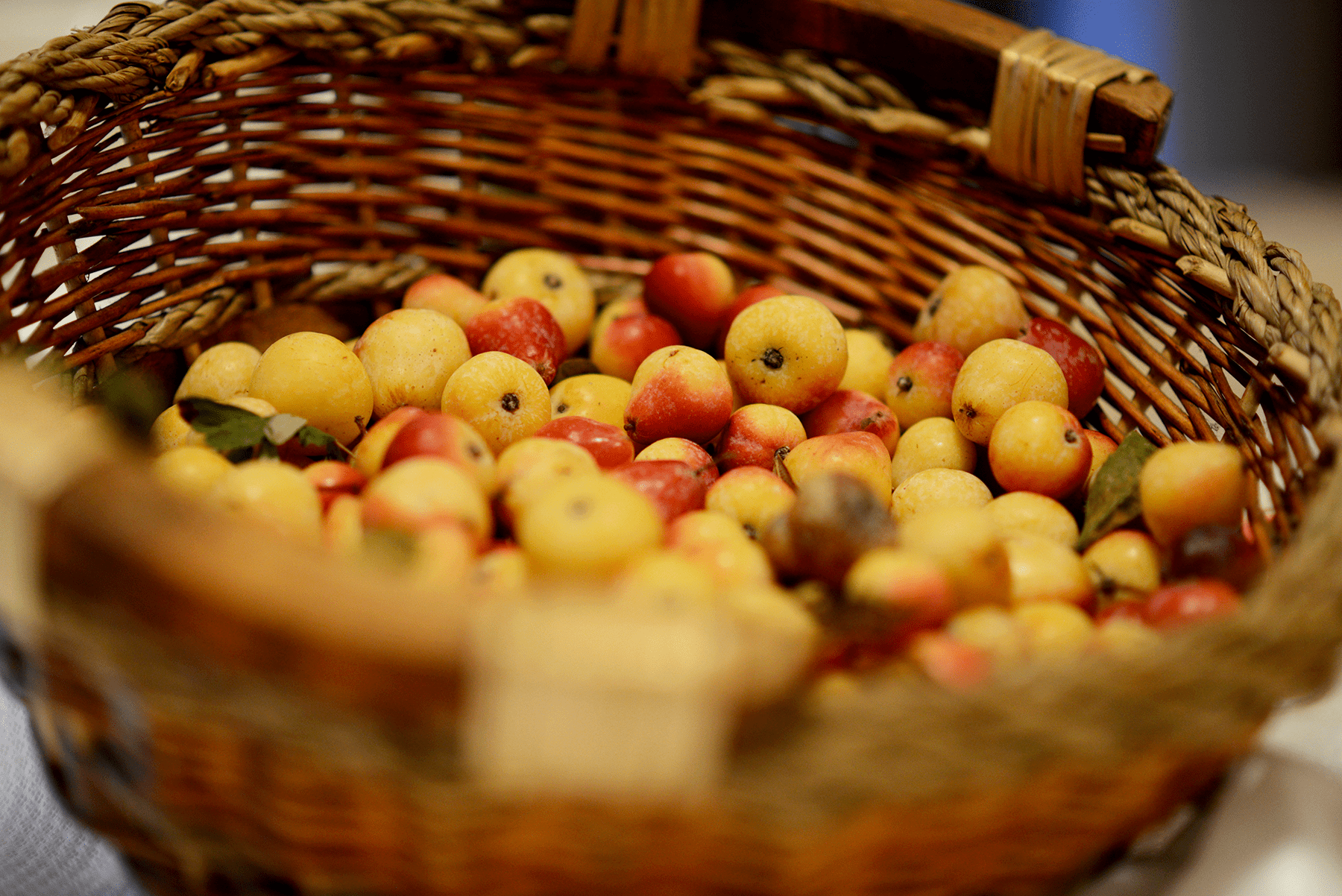 Catering La Fontanella
